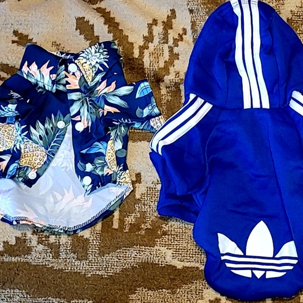 Little Dog Clothes